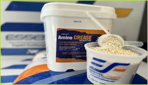 Unlock Unbeatable Deals And Insights On Goat Products